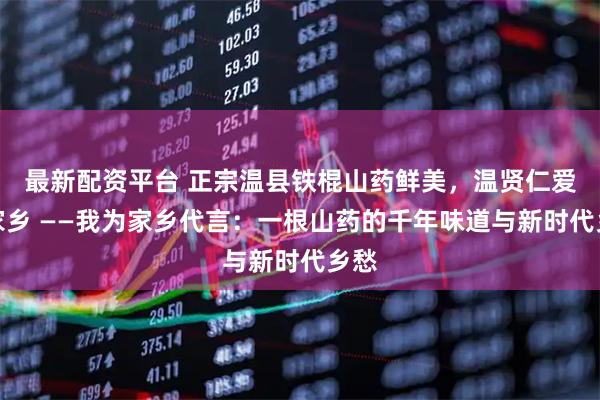最新配资平台 正宗温县铁棍山药鲜美，温贤仁爱我家乡 ——我为家乡代言：一根山药的千年味道与新时代乡愁