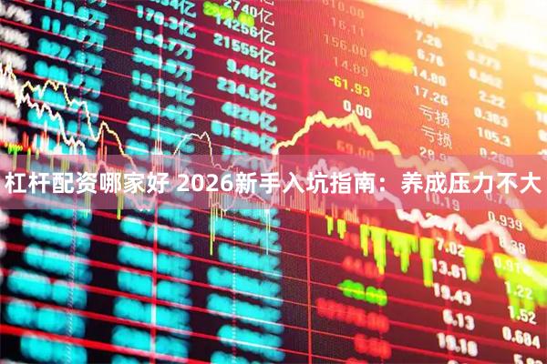 杠杆配资哪家好 2026新手入坑指南：养成压力不大